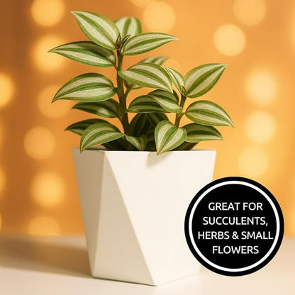 CZ Grain Modern White Geometric Tapered Planter | Minimalist Design for Succulents, Herbs & Small Plants | Hostess, Holiday or Coworker Gift | Indoor Flower Pot | Designer Aesthetic 6.6"x8.3" (5)