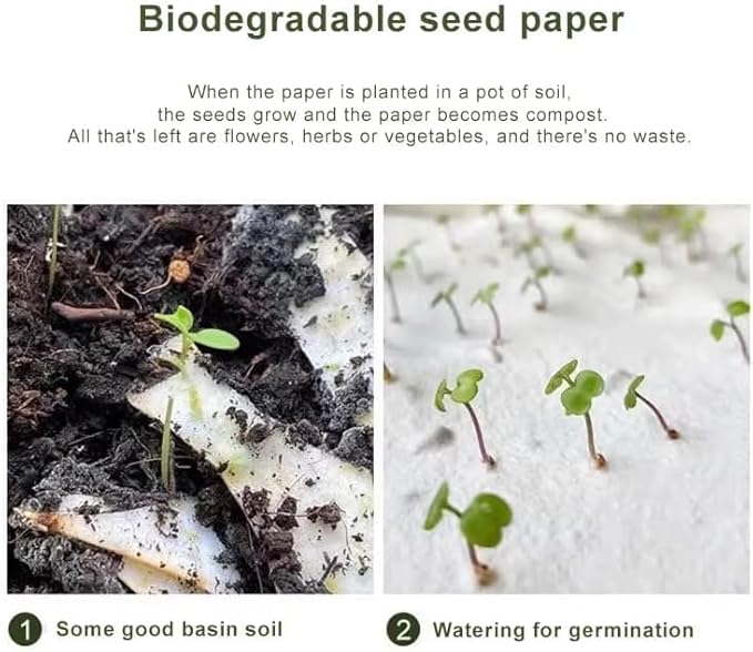 Eco-Friendly Plantable Love Seed Calendar 2026,12-Month Biodegradable Seed Paper Planner with Wildflower, Herb & Fruit Seeds, Gardening & Gifting Gift for Women, Men, Green Living Decor