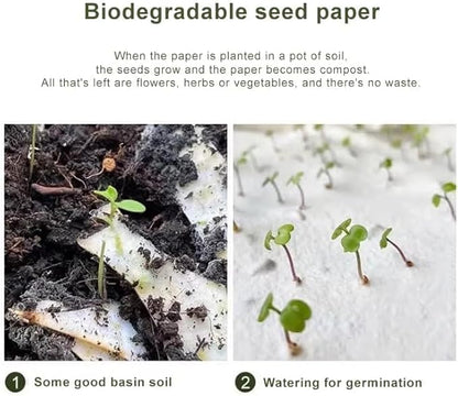 Eco-Friendly Plantable Love Seed Calendar 2026,12-Month Biodegradable Seed Paper Planner with Wildflower, Herb & Fruit Seeds, Gardening & Gifting Gift for Women, Men, Green Living Decor