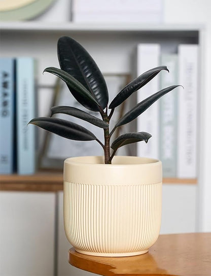 Ceramic 5.2+6.5 inch Planters, Modern Home and Office Flowerpot, Indoor and Outdoor Flowerpot with Drainage Hole (Yellow)