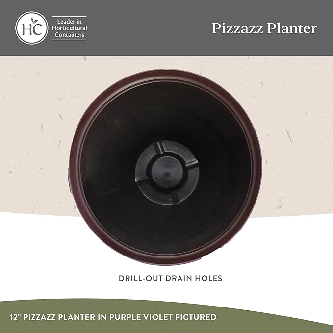 The HC Companies 9 Inch Pizzazz Round Planter Pots with Ceramic Look, Lightweight UV-Resistant Plastic Outdoor Planters, 2-Pack Flower Pots for Garden & Home Decor, Purple Violet