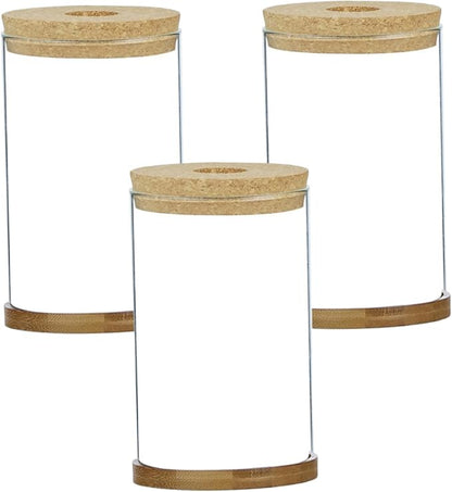 3Pcs Plant Propagation Station, Transparent Lidded Propagation Stations with Tray Hydroponic DIY Jars for Home Office Desktop, Straight