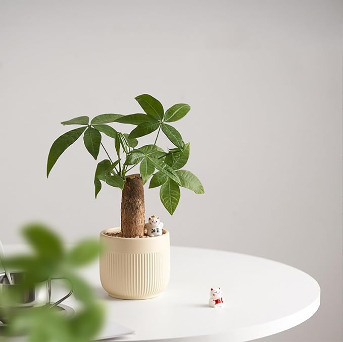 Ceramic 5.2+6.5 inch Planters, Modern Home and Office Flowerpot, Indoor and Outdoor Flowerpot with Drainage Hole (Yellow)