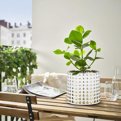 Ceramic Plant Pots Indoor, 5.7 Inch Planters for Indoor Plants Gold Polka Dots Flower Pots with Drainage Hole, Cylinder Round Planters, Gold and White