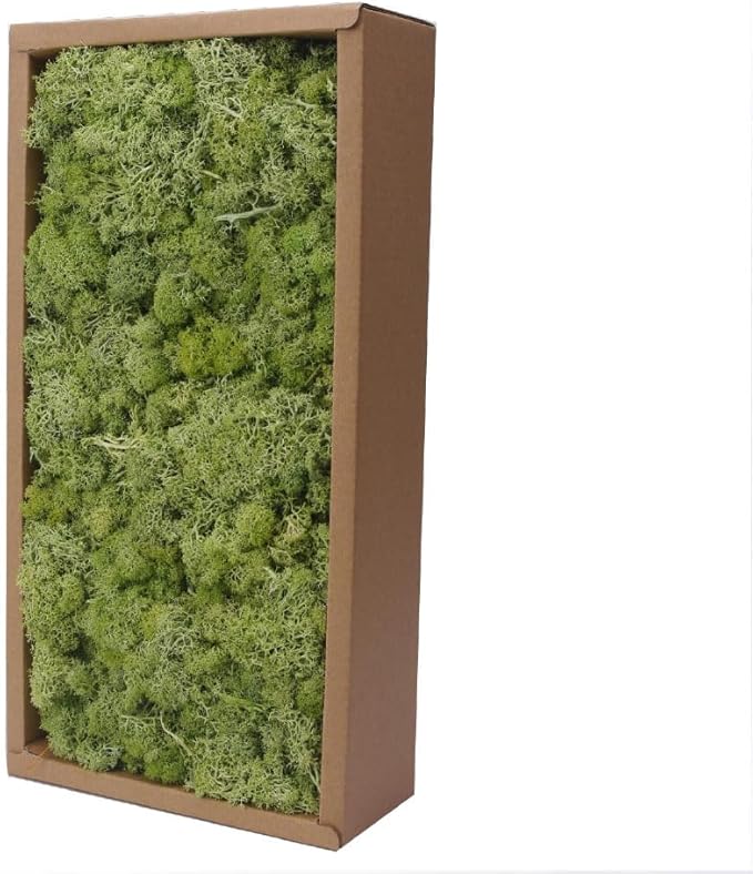 Preserved Reindeer Craft Moss-17.6oz Natural Green DIY Kit Gardenning Art Wall Florist Moss Terrariums Gardenning Decor Landscape Garden Decor(Shallow Green 17.6 OZ)