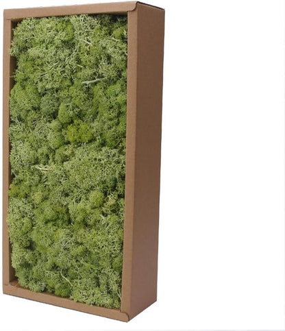 Preserved Reindeer Craft Moss-17.6oz Natural Green DIY Kit Gardenning Art Wall Florist Moss Terrariums Gardenning Decor Landscape Garden Decor(Shallow Green 17.6 OZ)