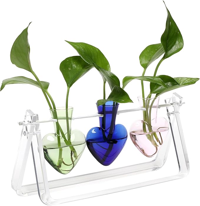 Clear Plant Terrarium Propagation Stations with Acrylic Stand Birthday Gifts for Women Office Home Decor