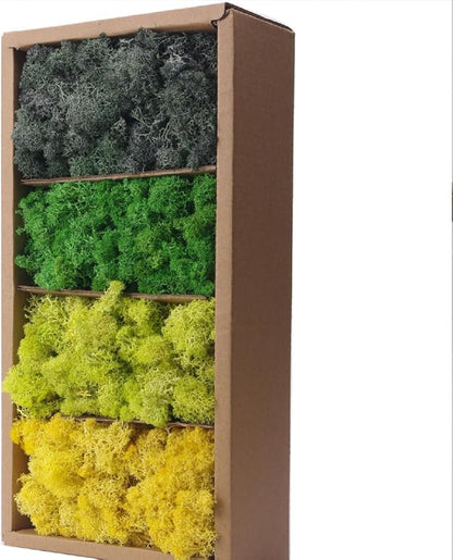 Preserved Moss-1.1lb 4 Color Mix Pack Reindeer Craft Moss, Green Moss Artificial Moss Suitable for Flowerbeds, Crafts, Home Office Artistic Decoration(Green Tones-4)