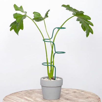 Set of 3 Sturdy Metal Plant Support Stakes for Indoor & Outdoor Use - Garden Trellis for Hydrangeas, Monstera, Flowers, Herbs, and Seedlings - Ideal for Small to Medium Plants