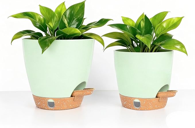 Self-Watering Plant Pots for Indoor Plants: 5/6 Inch Plastic Planter with Water Level Indicator, Drainage Holes & Deep Reservoir, Modern Decorative Flower Pot (Green)