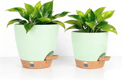 Self-Watering Plant Pots for Indoor Plants: 5/6 Inch Plastic Planter with Water Level Indicator, Drainage Holes & Deep Reservoir, Modern Decorative Flower Pot (Green)