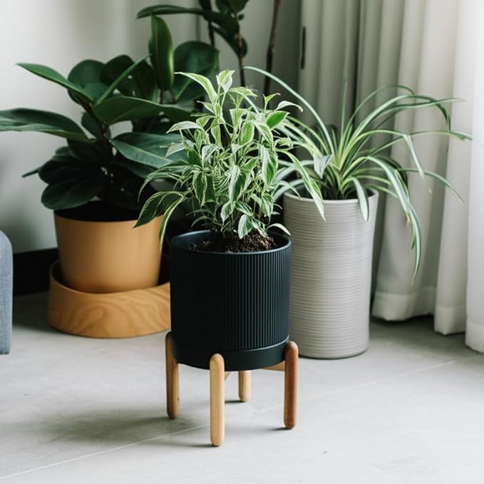 8 Inch Ceramic Planter with Natural Wood Stand w/Drainage & Saucer - Modern Indoor Planter for Cacti, Snake Plants & Aloe Vera Black