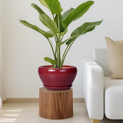 Ceramic Planter - 11 Inch Planter for Outdoor Plants Large Plant Pot Indoor with Drainage Hole and Saucer Round Modern Flower Pot Mid-Century Room Decor Red