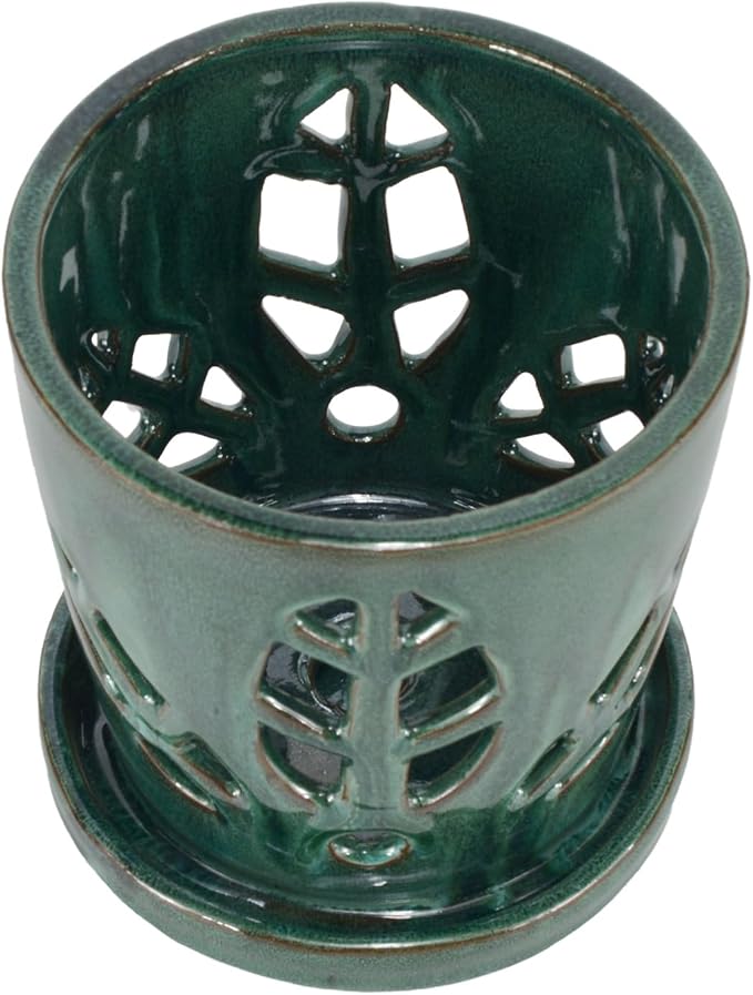 W&W Orchid Pot with Holes and Saucer for Repotting, Green Mix, 5.5 Inches