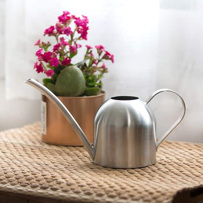Stainless Steel Water Can for Indoor Plants and Garden (15 oz)