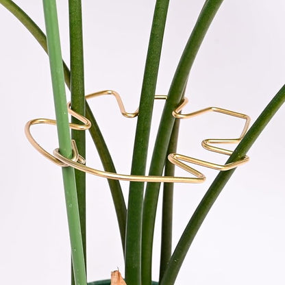 5.5 * 4.7IN Monstera Stem Support Stake with Clips - 5Pcs Durable Climbing Plant Support for Monstera, Fishbone Cactus, Easy Installation, for Plant Lovers