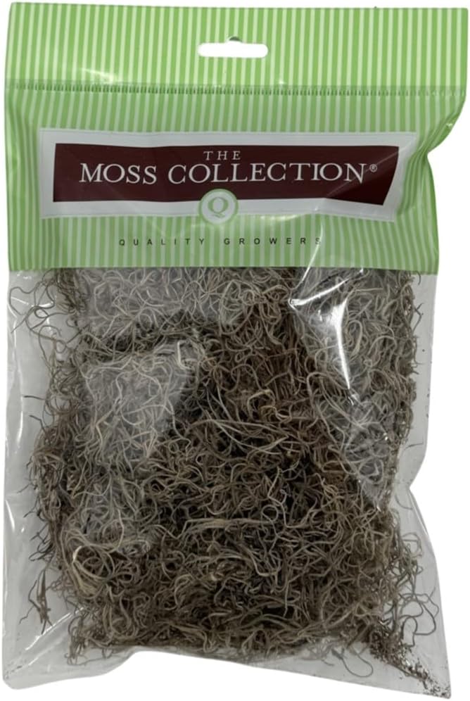 Preserved Spanish Moss - Decorative Moss - Dried Moss for Crafts, Home Decor, Art, Design & DIY Projects - for Indoor Use - Natural - Small Size