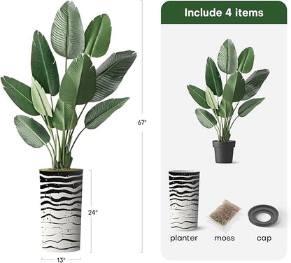 Artificial Tree in Contemporary Zebra Pattern Planter, Fake Bird of Paradise Silk Trees for Indoor and Outdoor Home Decoration - 67" Overall Tall (Plant Pot Plus Tree)