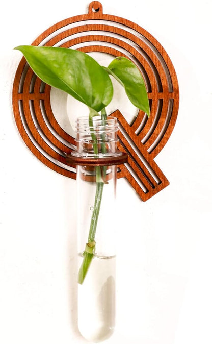 Wood Letter Wall Planter Terrariums Propagation Station with Test Tube Clear Flower Vase for Hydroponics Custom Vertical Garden Walnut DIY Home Decor Hanging Plant Holder Alphabet
