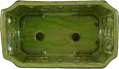 W&W Orchid Pot with Holes and Saucer for Repotting, YellowGreen, 9.7 Inches