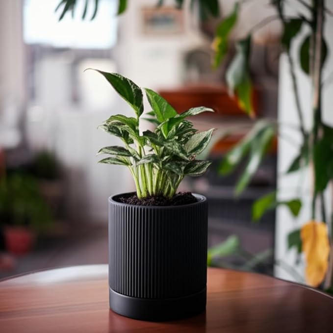 6 Inch Ceramic Plant Pot with Drainage & Saucer - Indoor Planter for Succulents, Cacti & Aloe Vera - Striped Design, High-Temp Fired Clay, Lightweight Modern Decor