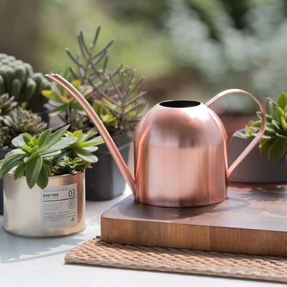 Stainless Steel Water Can for Indoor Plants and Garden (Rose Gold 30 oz)