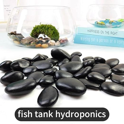 Natural Black River Rocks - 2-3 inch 5LB High Polished Decorative Pebbles, Black Stones for Landscaping, Natural River Rocks for Outdoor Décor, Polished Pebbles for Plants.