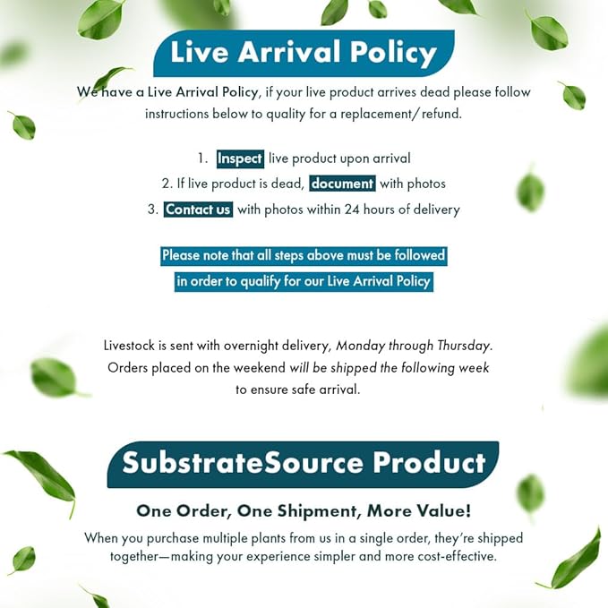 SubstrateSource Live Planted Decor - Mini Bolbitis on Clay Moss Ball - Deep Green Fern Leaves Freshwater Aquatic Plant, Low Light, Foreground to Midground Tank Placement for Aquascaping - 1 Pack