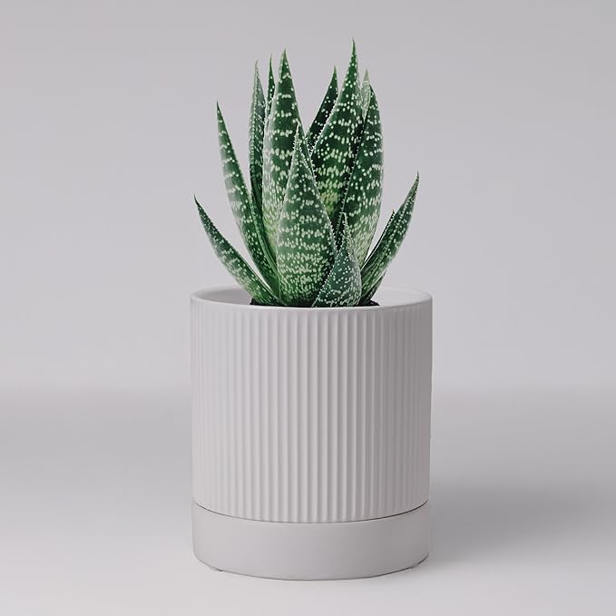 Small Plant Pots, 4 Inch Pots for Indoor Plants, Modern Minimalist Ceramic Plant Pots with Drainage Hole & Saucer, White Set of 2