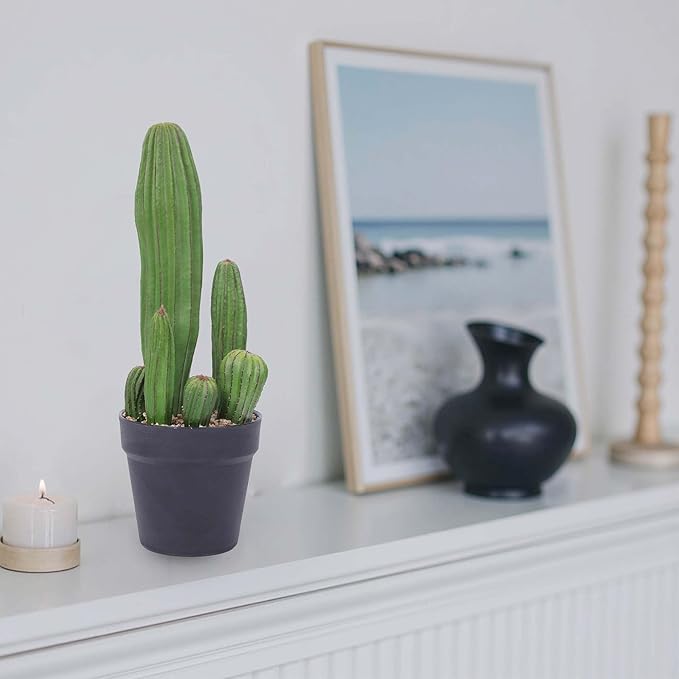 Artificial Cactus 16inch Faux Cactus Fake Cactus Potted Plants for Indoor Outdoor Home Offices Store Decor