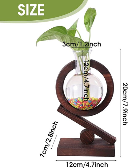 Plant Terrarium with Wooden Stand Glass Bulb Planter Propagation Station for Home Office Garden Plants Display Desk Decorative Ornament