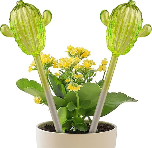 Ahhute Plant Watering Globes, Cactus Self Watering Globes, Glass Self Watering Planter Insert, Cacti Plant Watering Devices, Automatic Plant Waterer Indoor, Watering Bulbs, 2 Pack