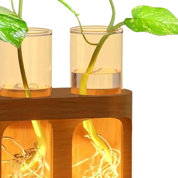 Plant Propagation Station, Decorative Hydroponic Terrarium with LED Lights, Glass Test Tubes for Hydroponic Plants for Men, Women, Youth, Teens, Seniors, Bedroom, Bathroom, Dormitory