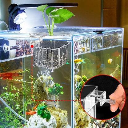 Brainy 6 Pack Top Hanging Fish Tank Plant Pot Aquarium Plant Holder Acrylic Clear Hanging Aquarium Planter Cups with Hole Top Fish Tank Plant Cup Wall-Mounted Baskets (6PCS)