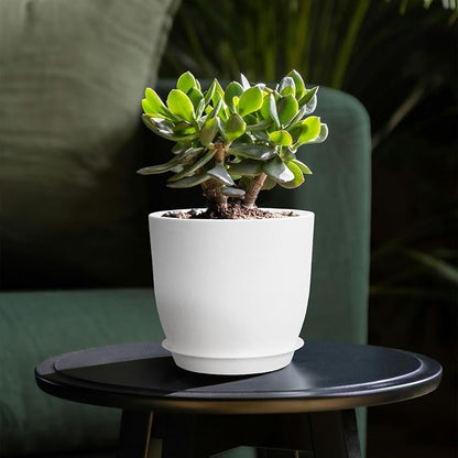 4Pack 8 Inch Flower Pots Planters for Indoor Outdoor Plastic Plant Pots with Drainage Hole and Saucers Modern Decorative Garden Pot, White