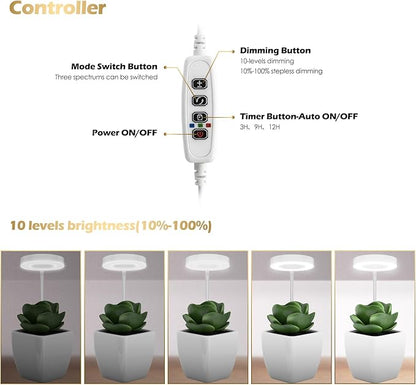 GLOWRIUM Grow Lights for Indoor Plants, Full Spectrum LED Grow Light Floor Lamp with Stand Adjustable Height and Angle, Black Plant Light with 3/9/12H Grow Light Timer (White, 6W)