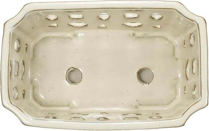 W&W Orchid Pot with Holes and Saucer for Repotting, Cream White, 9.7 Inches