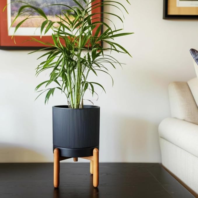 8 Inch Ceramic Planter with Natural Wood Stand w/Drainage & Saucer - Modern Indoor Planter for Cacti, Snake Plants & Aloe Vera Black