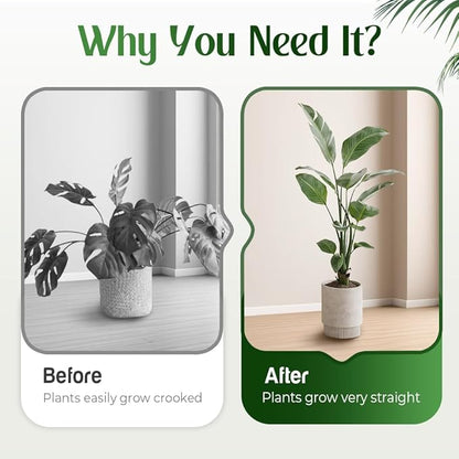 Monstera Plant Support Durable Stabilizer Grapple Holder,Plant Accessories Stable Plant Stem Support Stakes for Outdoor & Indoor Growing Climbing Plant Care Thriving Growth (1, Heart)