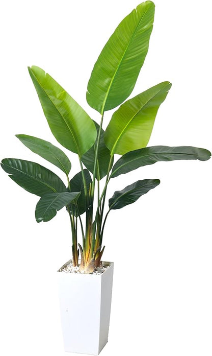 Bird of Paradise Artificial Plant 6FT, Faux Tropical Palm Tree with White Tall Planter, Large Fake Plants in Pot - Artificial Tree for Home Office Living Room Decor Indoor