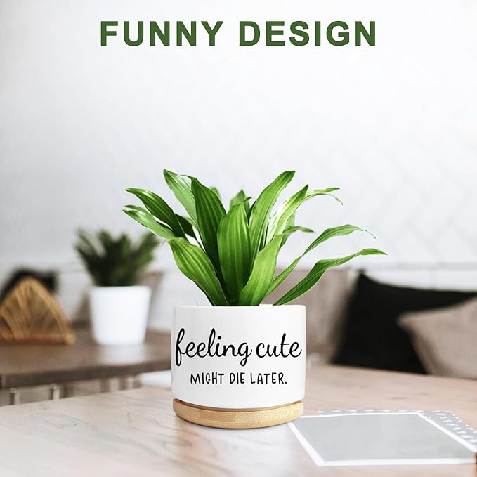 Funny Succulent Planter, Flower Cactus Plant Pot for Indoor Plants, Cute Planter Pots with Drainage and Tray, Office Home Windowsill Decor Planter Gift for Women Men (No Plants)