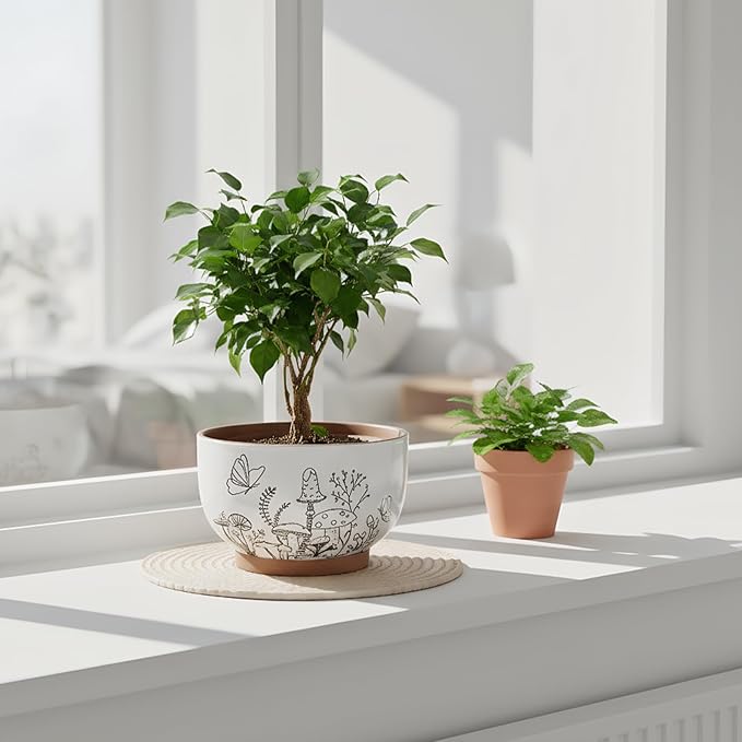 YBX 8 Inch & 6 Inch Terracotta Pots, Plant Pots, Flower Pots for Indoor Plants with Drainage, Planters with Mushroom Accent for Indoor Plants (Cottage)