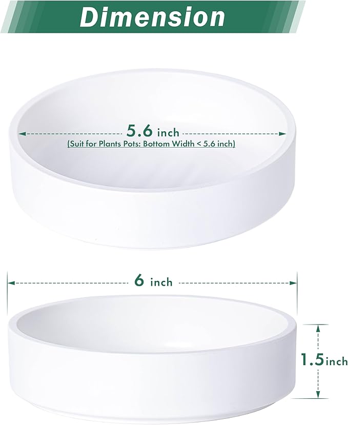 Phoenix Vine 6 Inch Plastic Plant Saucer Water Drip Tray, Heavy Sturdy Round Plant Drainage Tray for Indoors Outdoor, Matte White, 21-TY-6W-1