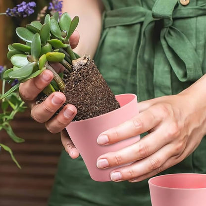 4 Inch Plant Pots 10 Pcs Small Flower Pots For Indoor Plant Pots Succulent Pots Small Plant Pots With Drainage Planters For Indoor Plants Nursery Pots Plastic Pots For Plants Herb Planter 5 Colors