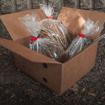 6 Pack of Mixed Heart-Shaped Hosta Bare Roots Plants - Rich Green Foliage, Low Maintenance for Your Home and Garden, Shipped Fresh & Daily from Our Coolers. 1000's Sold