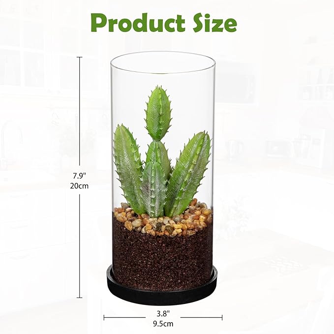 Artificial Succulent in Cylindrical Glass Vase Small Fake Cactus Plant with Modern Glass Terrarium Faux Plants Indoor Gift for Plant Lover Decor for Home Office Table Desk Shelf