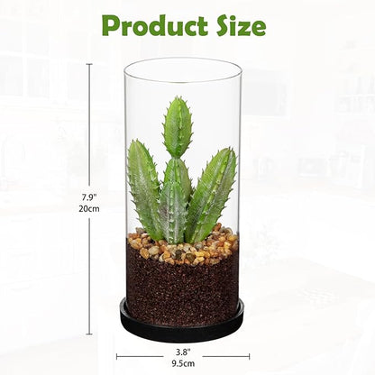 Artificial Succulent in Cylindrical Glass Vase Small Fake Cactus Plant with Modern Glass Terrarium Faux Plants Indoor Gift for Plant Lover Decor for Home Office Table Desk Shelf