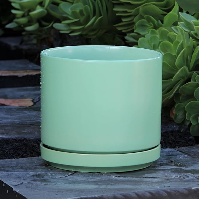 PLANTATOREM Ceramic 12 Inch Mid Modern Planter Pot with Drainage Hole and Saucer, Indoor Cylinder Round Flower Pot, Perfect for Planting Succulents, Herbs, Flowers, House Plants, Tea Green