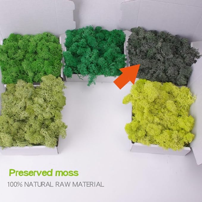 Preserved Moss-3.5 OZ Moss for Crafts Faux Moss Decor Natural Green Moss for Art Wall Florist Decor, Fairy Gardens, Wedding, Floral Project(Bottle Green 3.5 OZ)