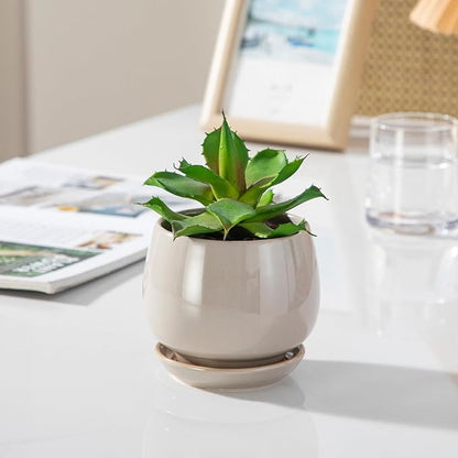 vancasso 3-Pack Ceramic Plant Pots, 3.7/4.8/6.2 Inch Indoor Planters with Saucers & Drainage Hole Planter pots for Indoor Plants and Flower, Gray